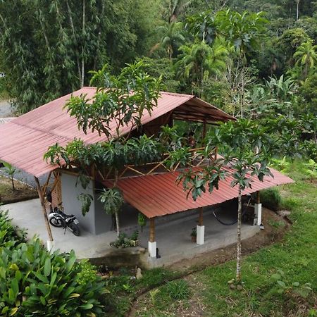 Preciosa Cabaña en la Selva del Talín Villa Veracruz  Exterior foto