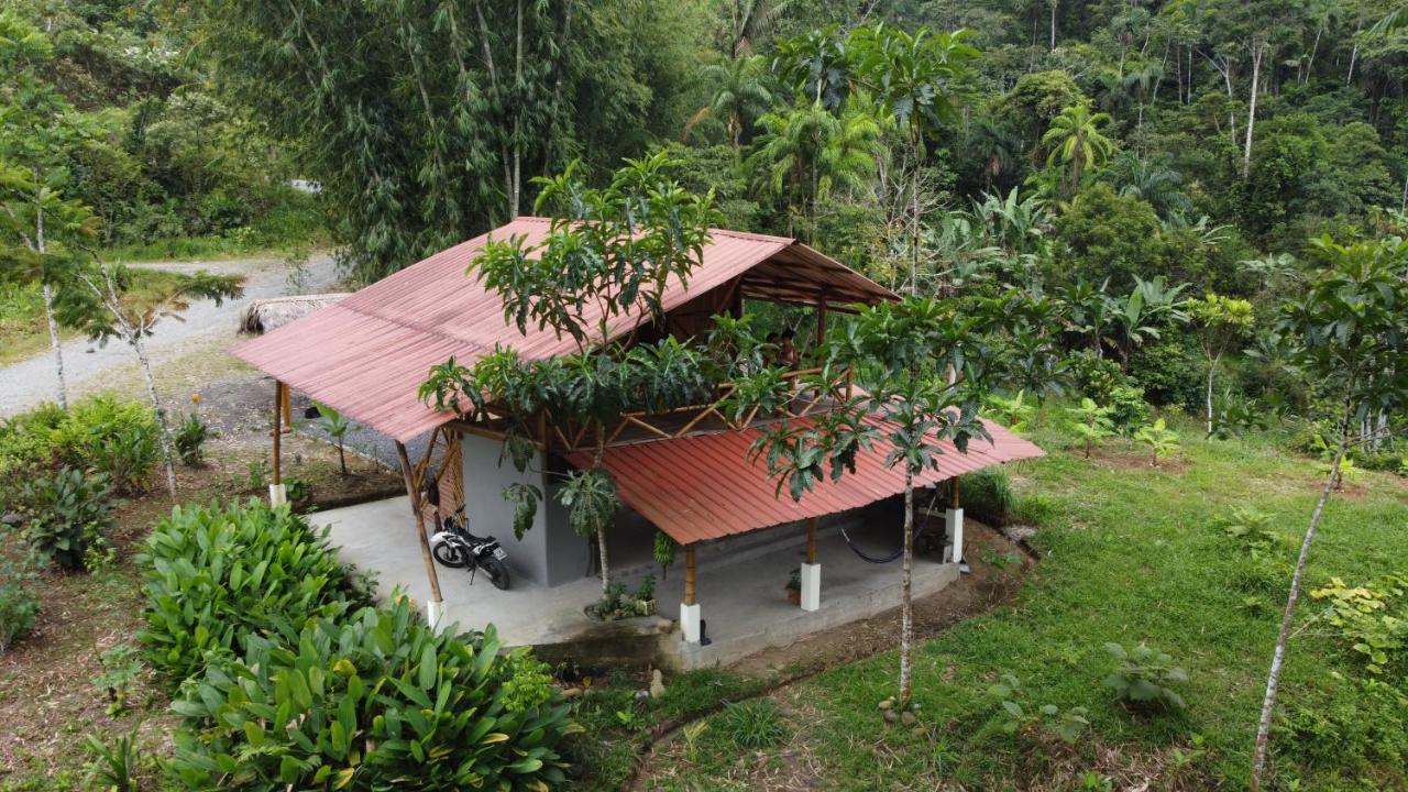 Preciosa Cabaña en la Selva del Talín Villa Veracruz  Exterior foto