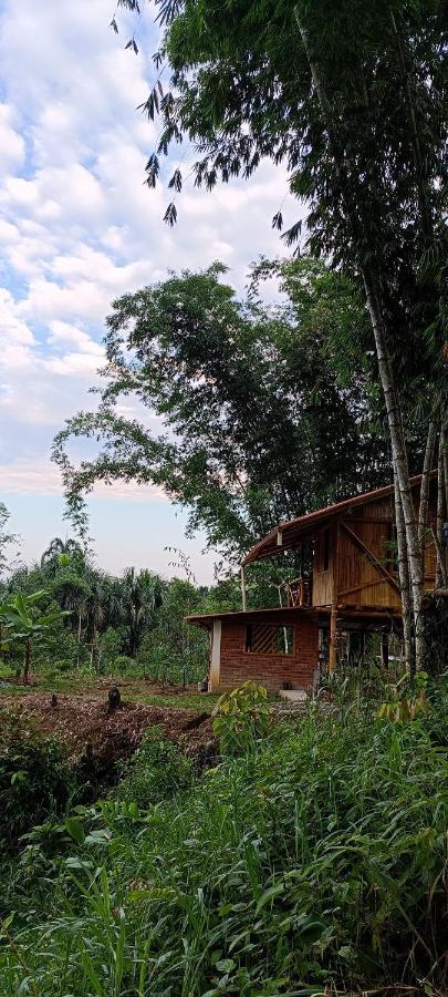 Preciosa Cabaña en la Selva del Talín Villa Veracruz  Exterior foto