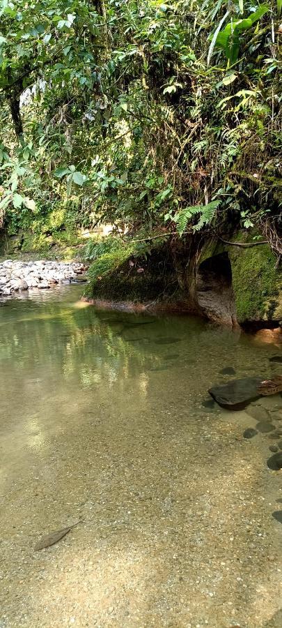 Preciosa Cabaña en la Selva del Talín Villa Veracruz  Exterior foto