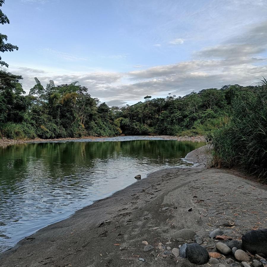 Preciosa Cabaña en la Selva del Talín Villa Veracruz  Exterior foto