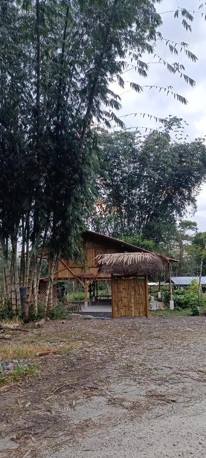 Preciosa Cabaña en la Selva del Talín Villa Veracruz  Exterior foto