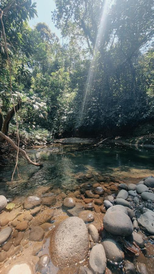 Preciosa Cabaña en la Selva del Talín Villa Veracruz  Exterior foto