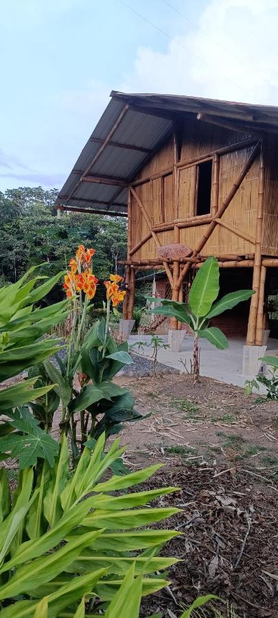 Preciosa Cabaña en la Selva del Talín Villa Veracruz  Exterior foto