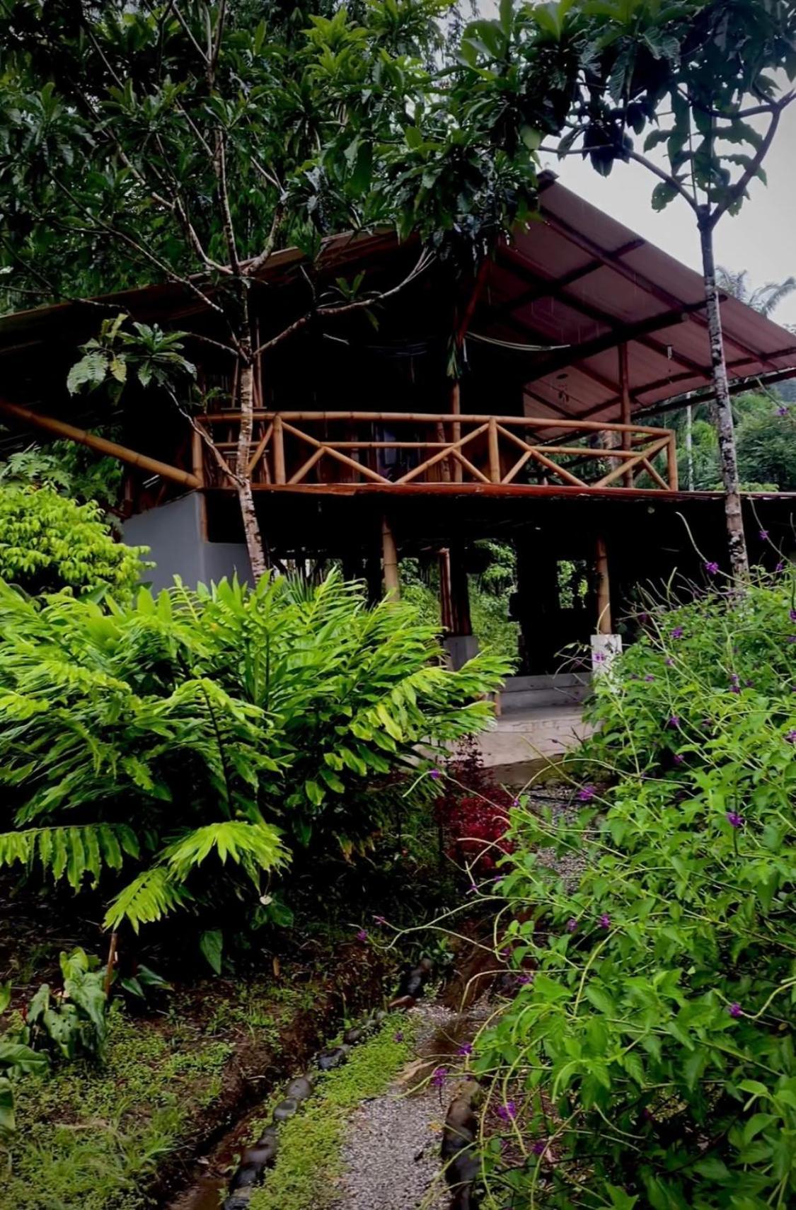 Preciosa Cabaña en la Selva del Talín Villa Veracruz  Exterior foto