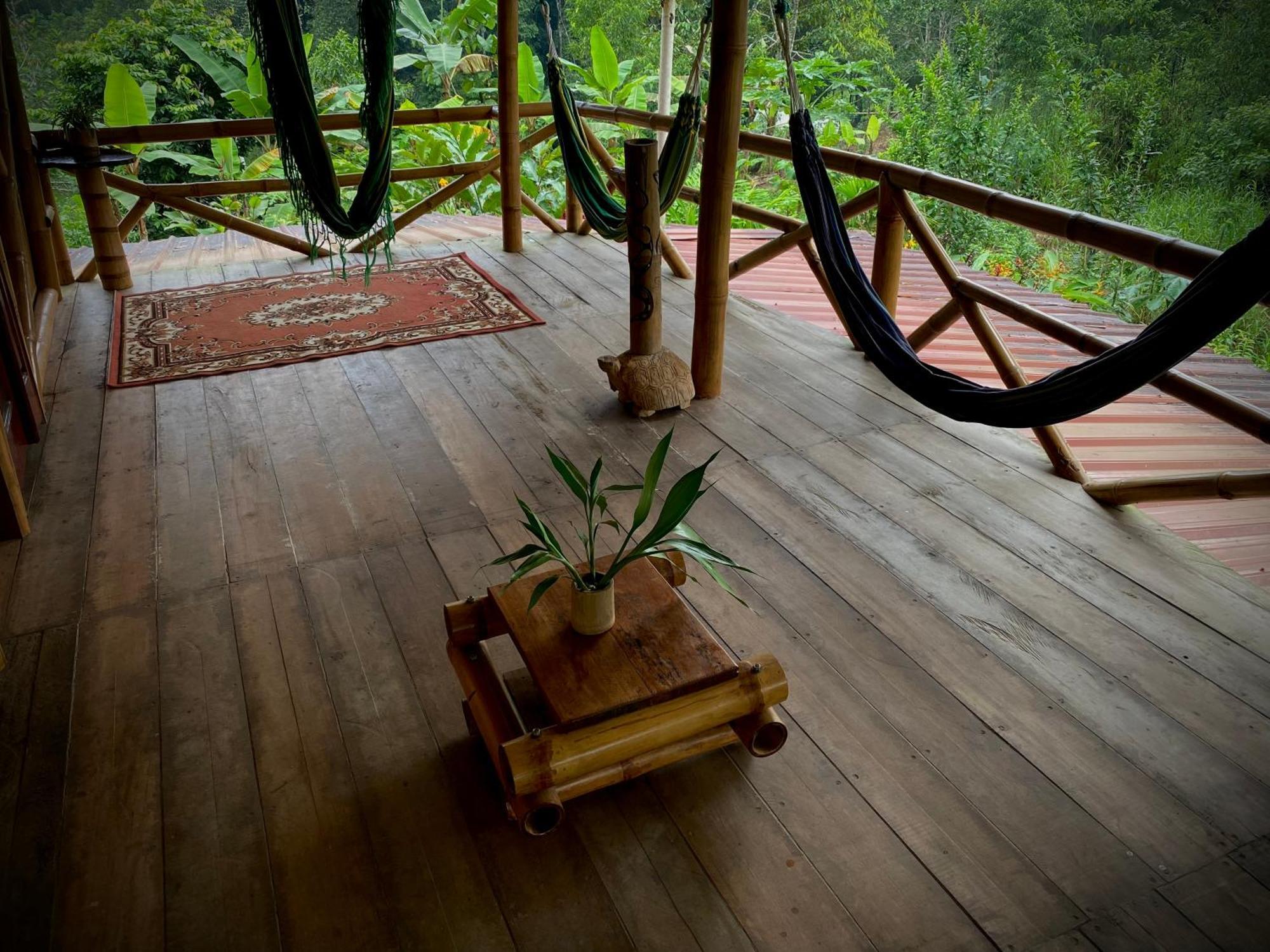 Preciosa Cabaña en la Selva del Talín Villa Veracruz  Exterior foto