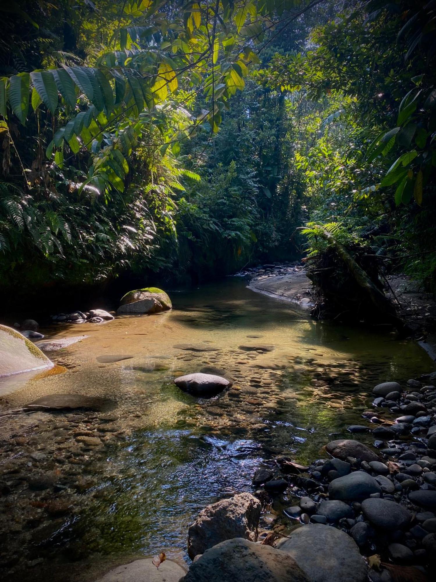 Preciosa Cabaña en la Selva del Talín Villa Veracruz  Exterior foto